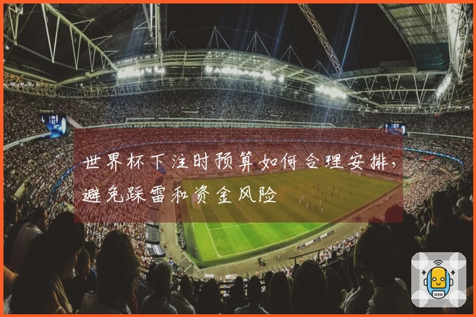 世界杯下注时预算如何合理安排，避免踩雷和资金风险