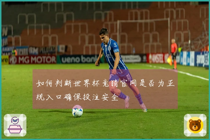 如何判断世界杯竞猜官网是否为正规入口确保投注安全