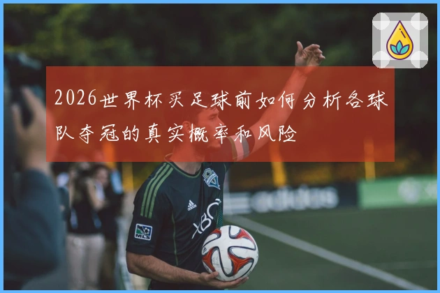 2026世界杯买足球前如何分析各球队夺冠的真实概率和风险