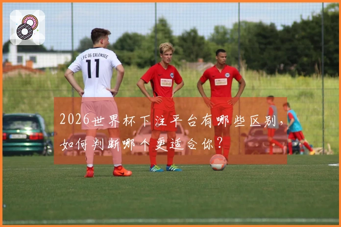 2026世界杯下注平台有哪些区别，如何判断哪个更适合你？