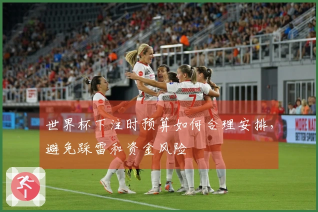 世界杯下注时预算如何合理安排，避免踩雷和资金风险