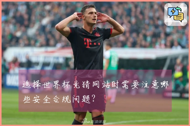 选择世界杯竞猜网站时需要注意哪些安全合规问题？